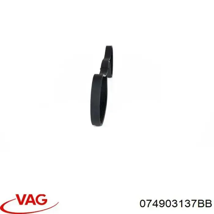Correa de transmisión trapezoidal VAG 074903137BB precio, desde 17,86 EUR