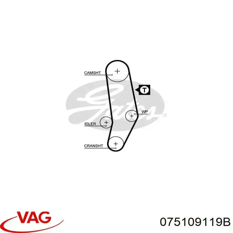 Comprar 075109119B VAG Correa distribución