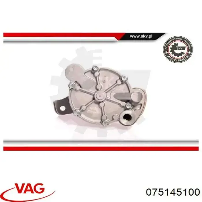 Comprar 075145100 VAG Bomba de vacío
