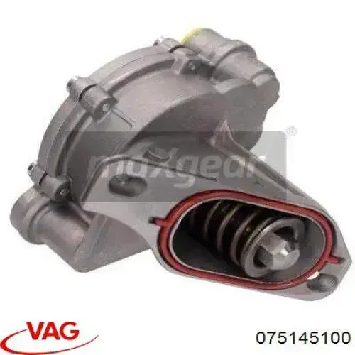 Bomba de vacío del sistema de frenado VAG 075145100 precio, desde 108,85 EUR