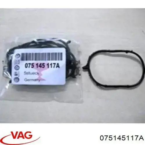 Comprar 14145032 AND Junta de la bomba de vacío
