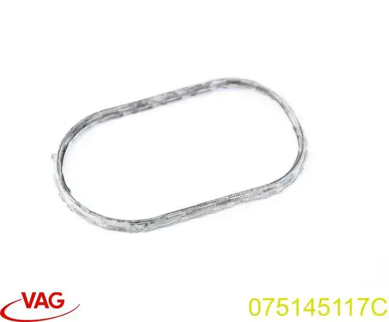Junta de la bomba de vacío VAG 075145117C precio, desde 7,30 EUR
