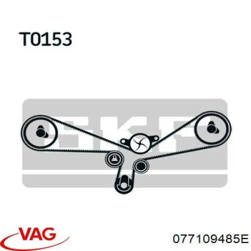 Rodillo tensor cadena VAG 077109485E
