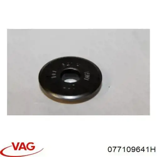  VAG 077109641H precio, desde 24,03 EUR