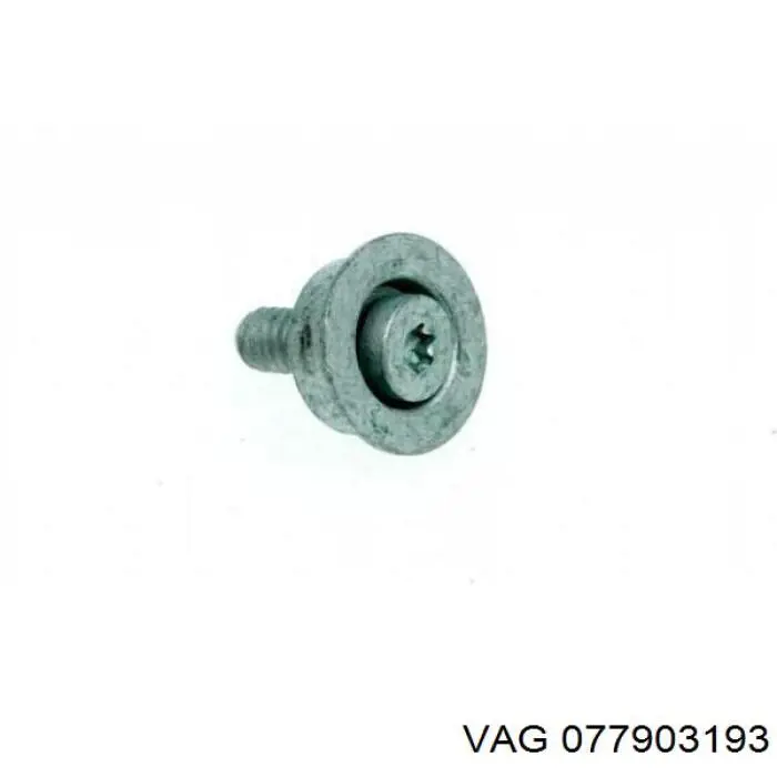077903193 VAG 