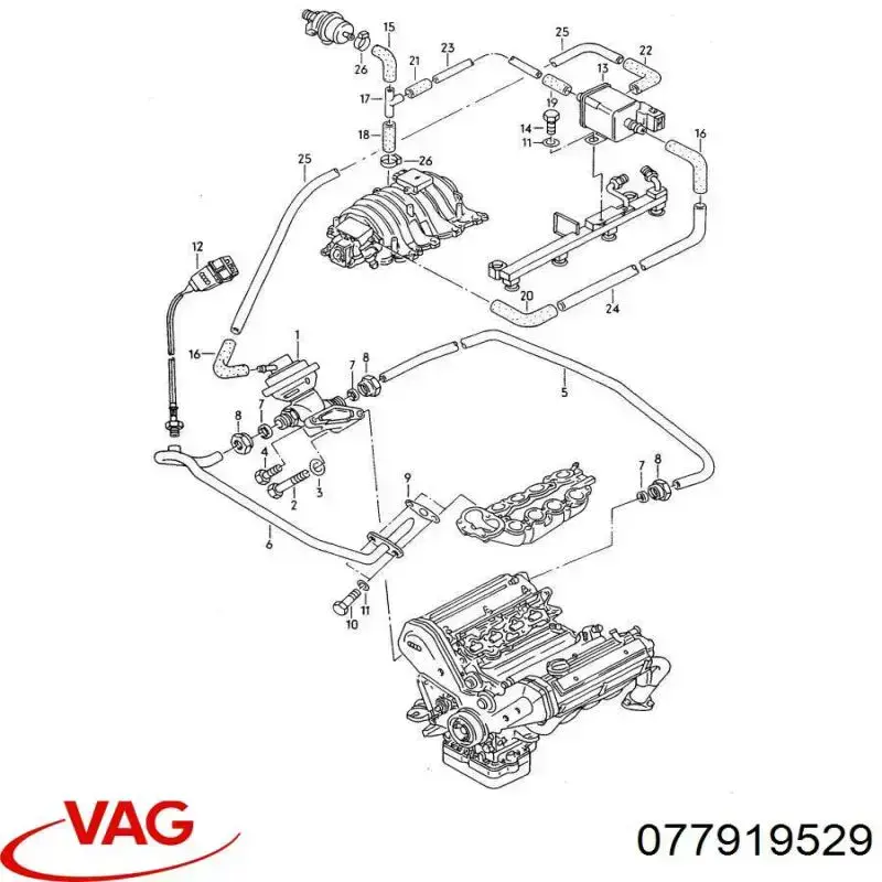 Sensor de temperatura del aire de admisión VAG 077919529 precio, desde  
