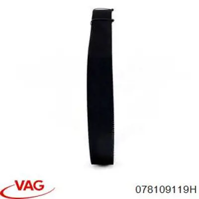 Correa de distribución VAG 078109119H precio, desde 47,34 EUR