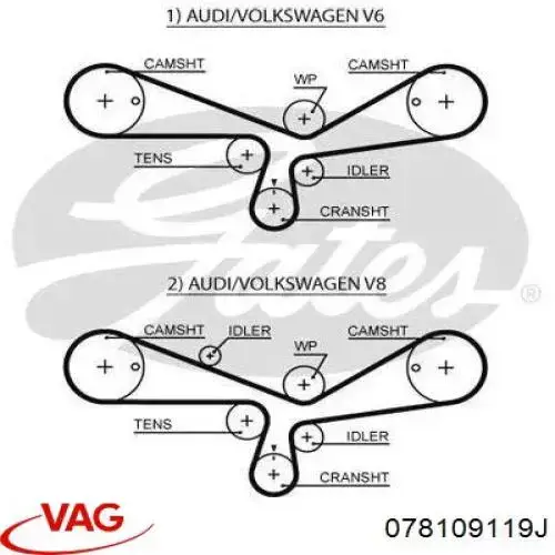 Correa de distribución VAG 078109119J