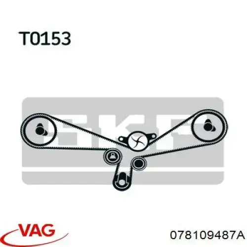 Soporte del tensor de la correa de distribución 078109487A VAG