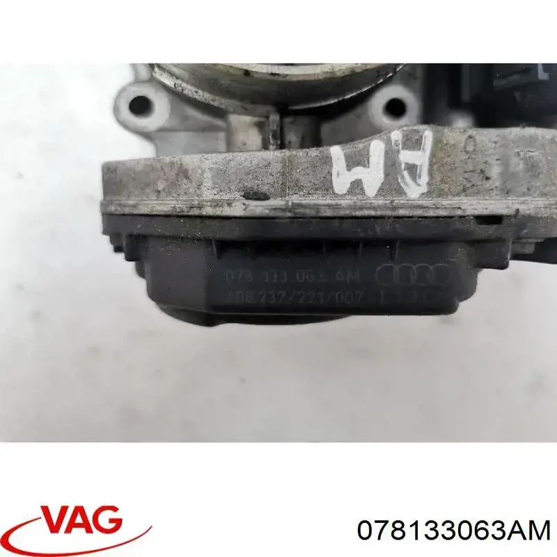 Cuerpo de aceleración completo VAG 078133063AM precio, desde 31,76 EUR