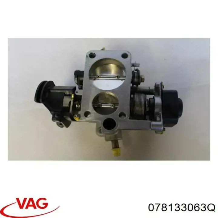 Cuerpo de aceleración completo VAG 078133063Q precio, desde 114,75 EUR