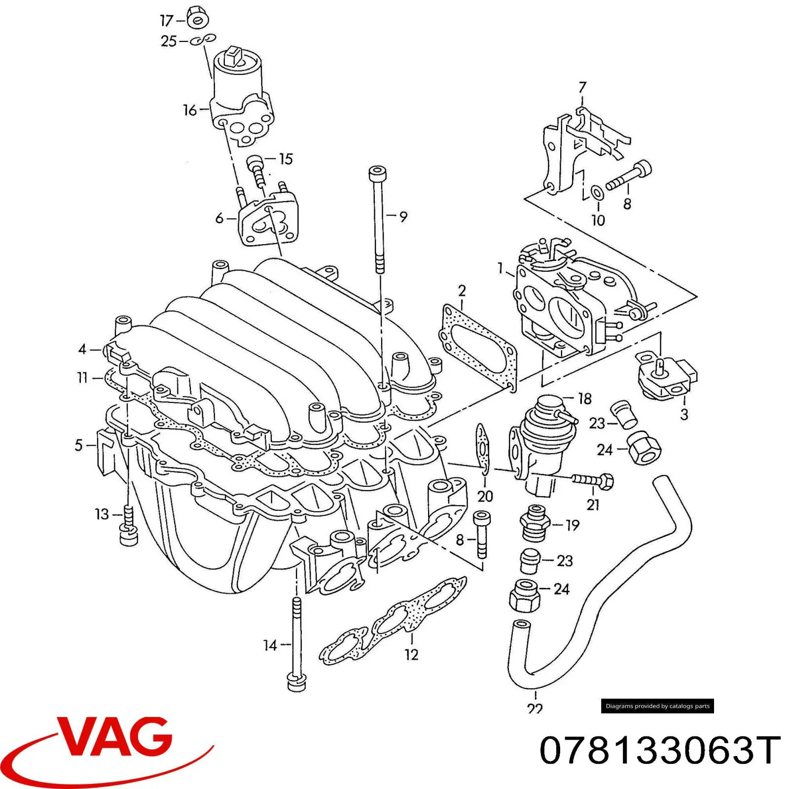Cuerpo de aceleración completo VAG 078133063T precio, desde  