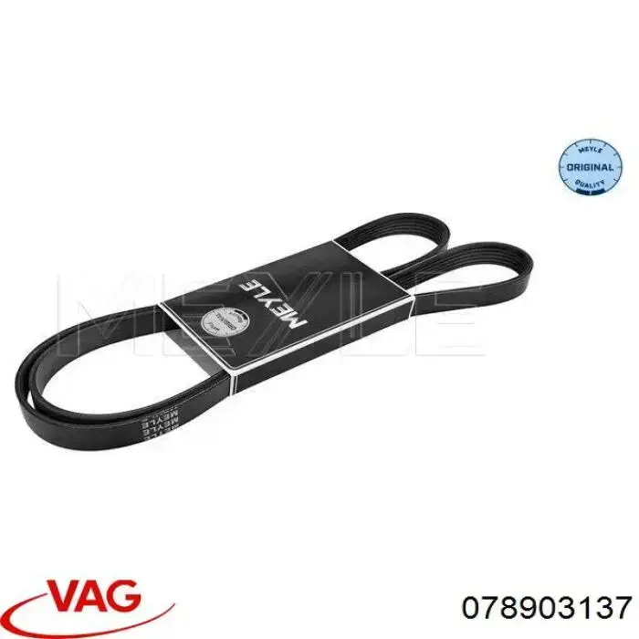 Correa de alternador 078903137 VAG