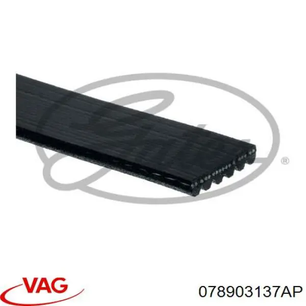 Correa de transmisión trapezoidal VAG 078903137AP precio, desde 19,57 EUR
