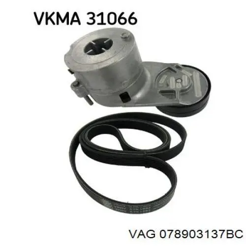 078903137BC VAG Correa poly v
