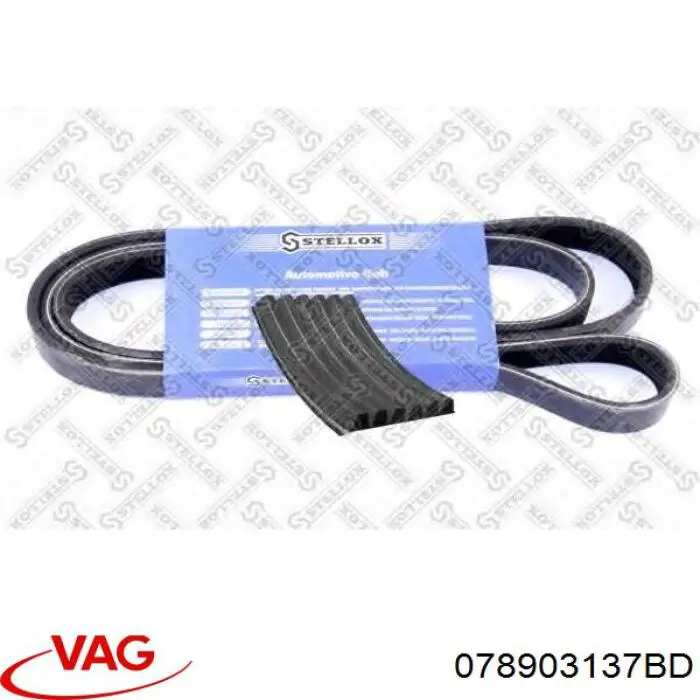 Correa de transmisión trapezoidal VAG 078903137BD precio, desde 26,15 EUR