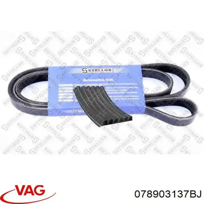 Correa de alternador 078903137BJ VAG