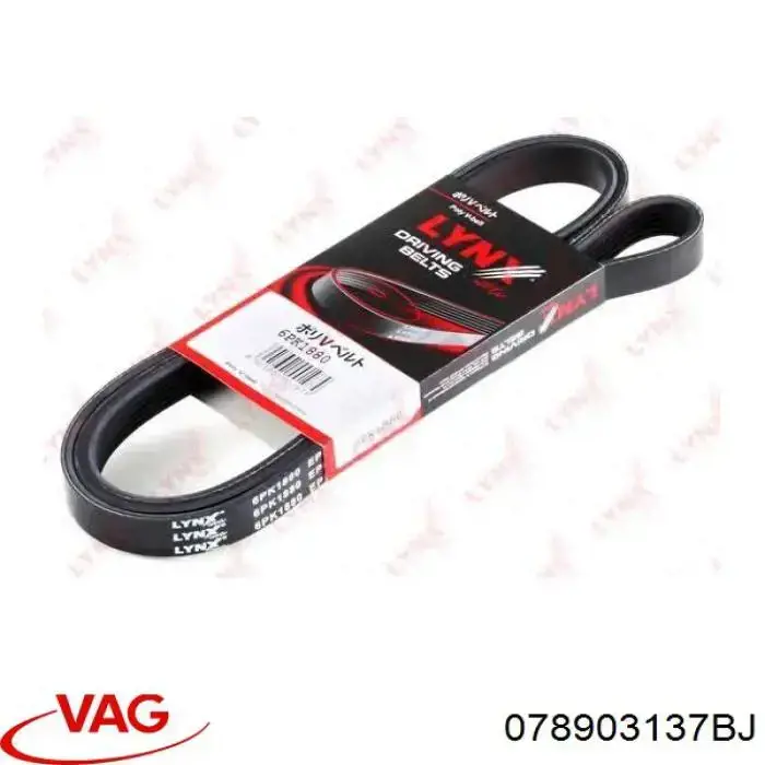 Comprar 078903137BJ VAG Correa trapezoidal