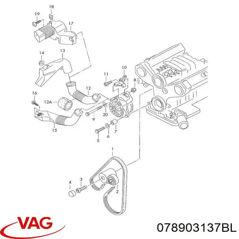 Correa de transmisión trapezoidal VAG 078903137BL precio, desde 21,84 EUR