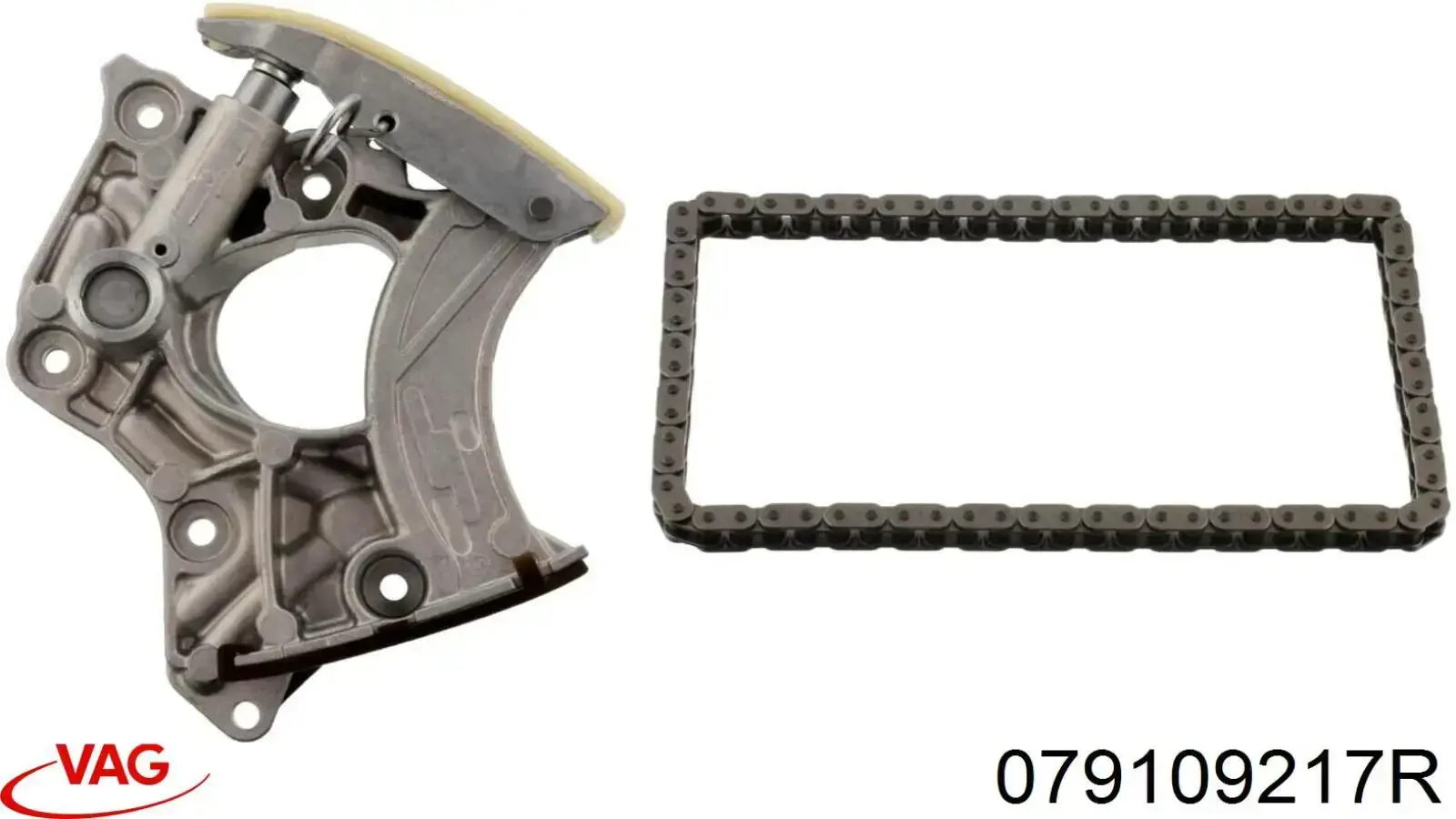 Tensor de cadena de distribución del árbol de levas izquierdo VAG 079109217R precio, desde 109,69 EUR