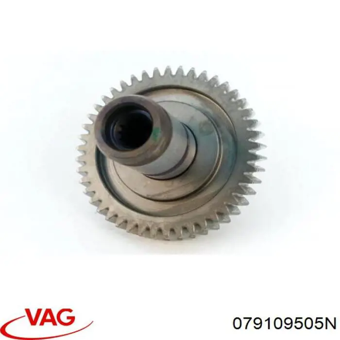 Comprar 079109505N VAG 