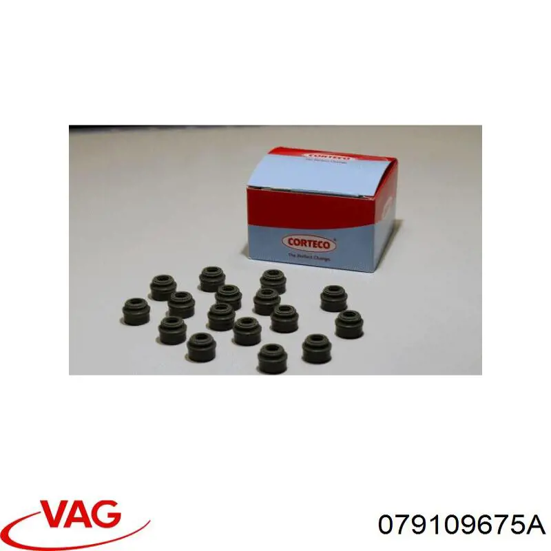  VAG 079109675A precio, desde 11,46 EUR
