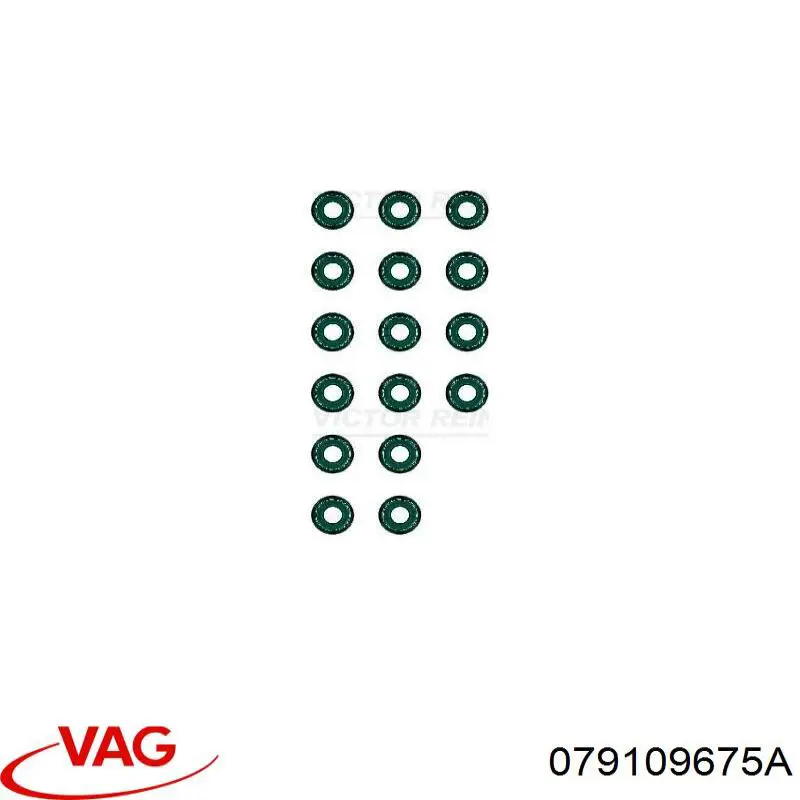 Comprar 079109675A VAG 