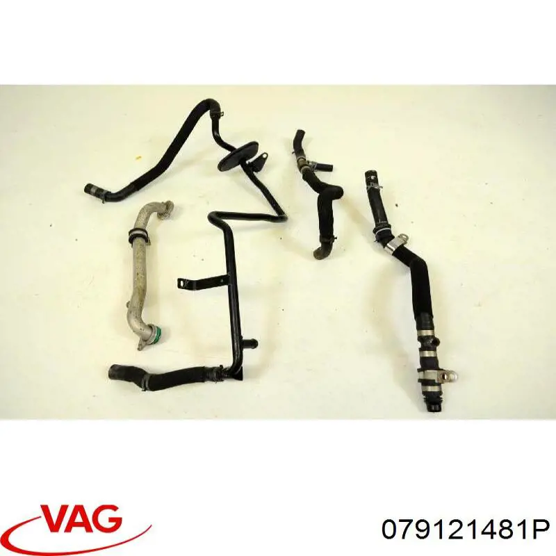  079121481P VAG