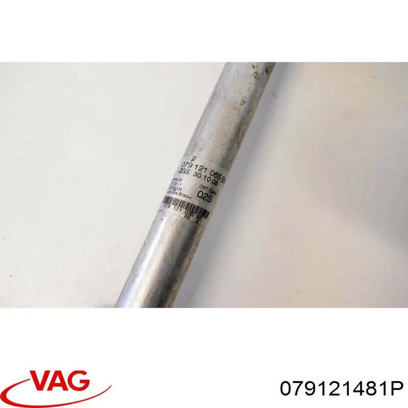 Comprar 079121481P VAG 