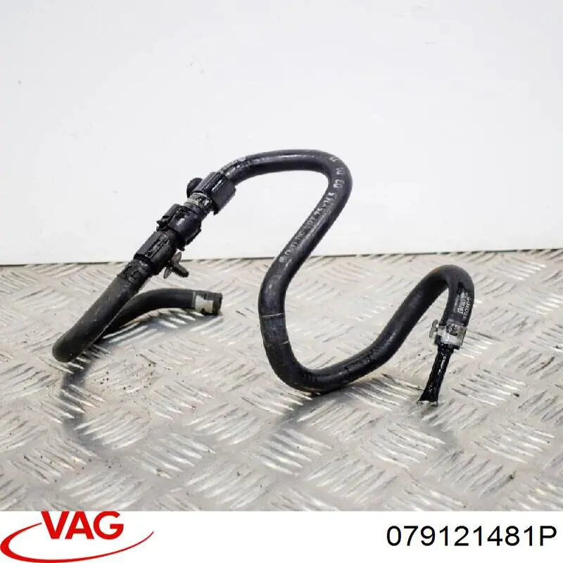  VAG 079121481P