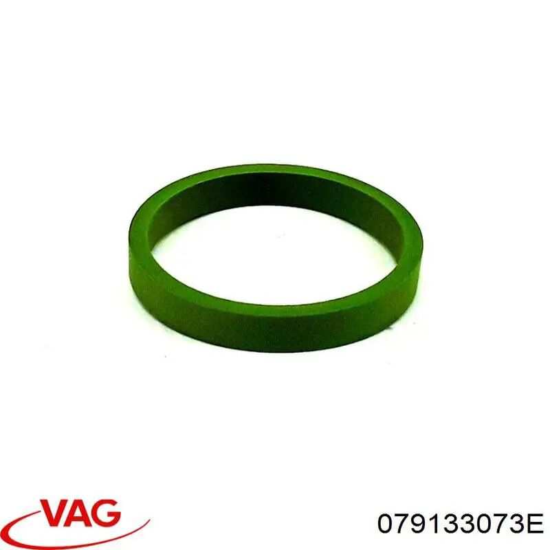 VAG 079133073E precio, desde 16,81 EUR