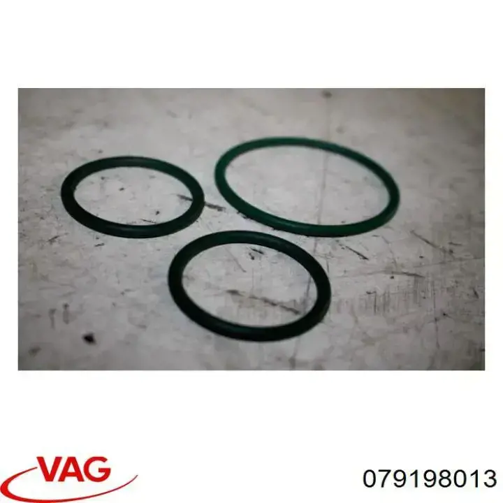 Comprar 079198013 VAG 