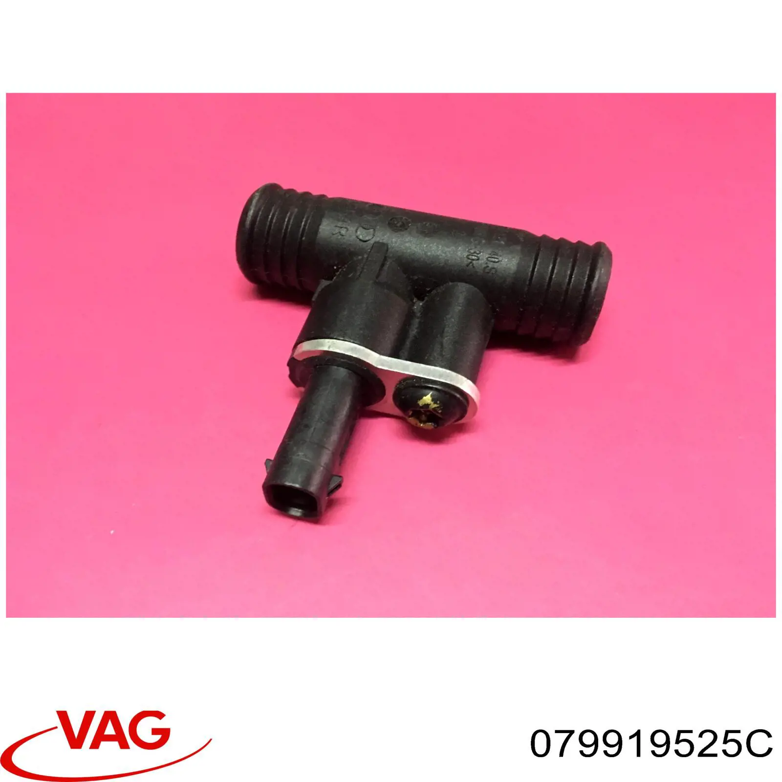 079919525C VAG 