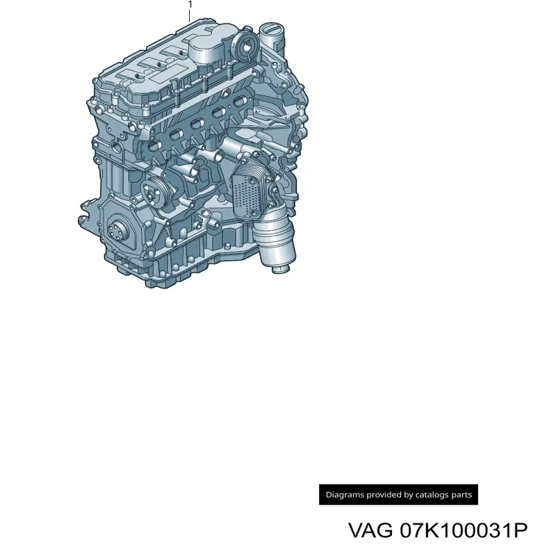 07K100031P VAG motor completo