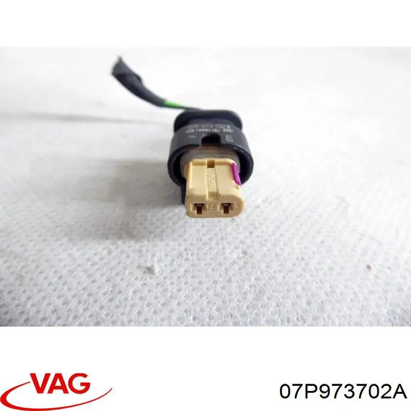  07P973702A VAG