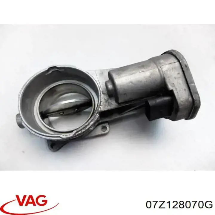 07Z128070G VAG Mariposa de admisión