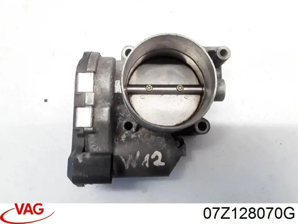 07Z128070G VAG Mariposa de admisión