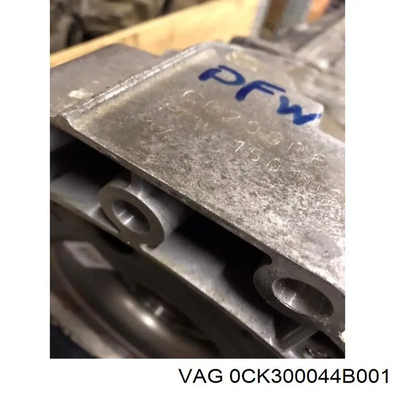 0CK300042F001 VAG