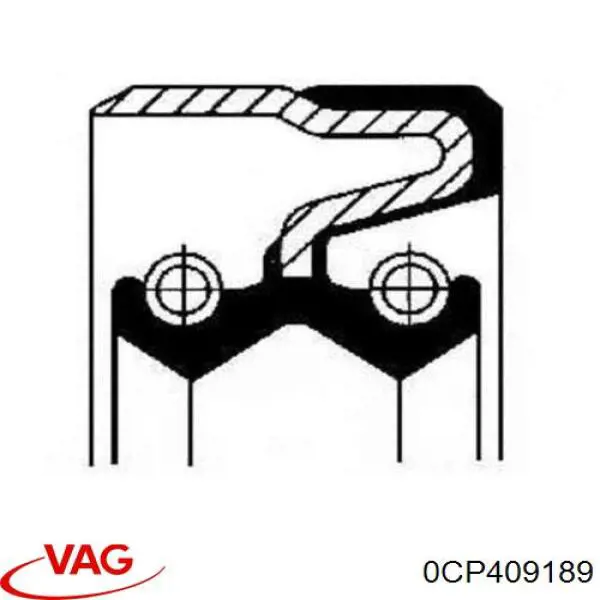 0CP409189 VAG