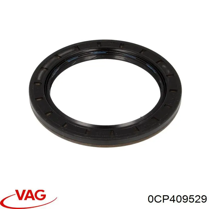 0CP409529 VAG