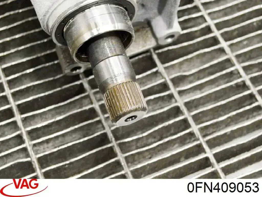 0FN409053 VAG 