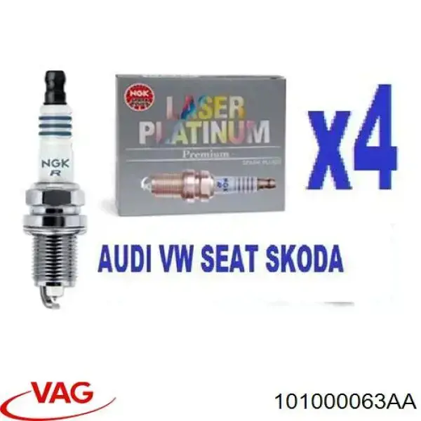 Bujía 101000063AA VAG