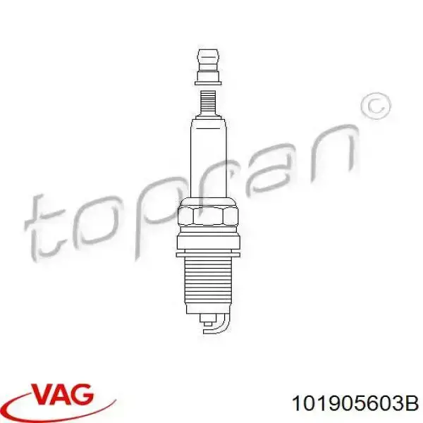 Bujía 101905603B VAG