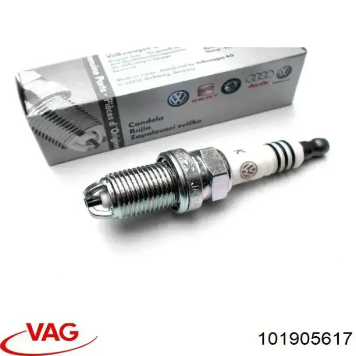 Bujía 101905617 VAG
