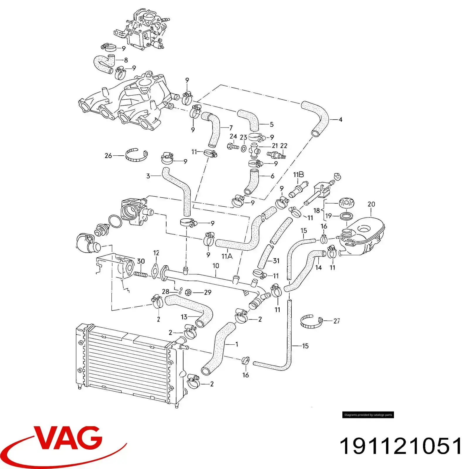 191121051 VAG manguera refrigerante para radiador inferiora