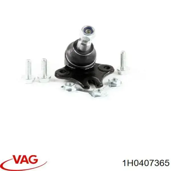 Rótula inferior de suspensión 1H0407365 VAG
