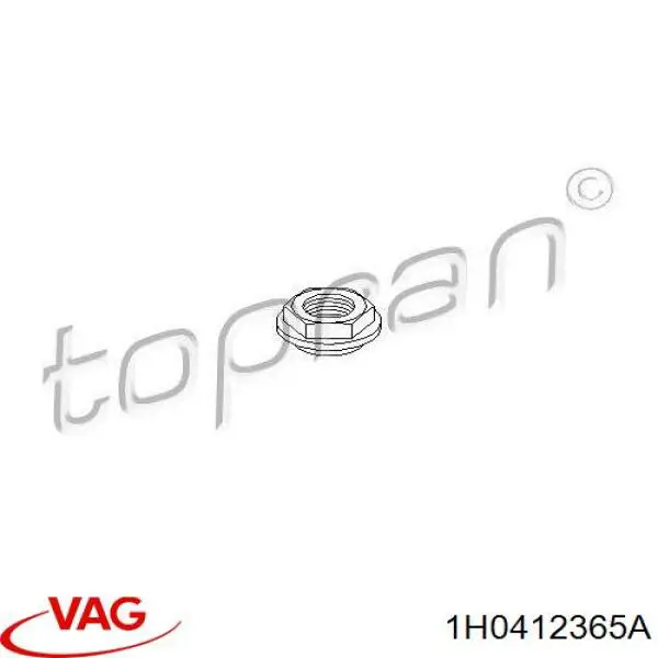 Tuerca del vástago del amortiguador delantero VAG 1H0412365A