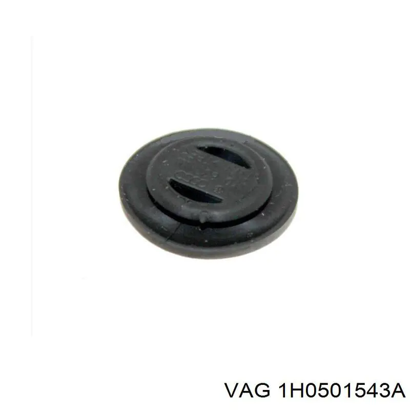  1H0501543A VAG