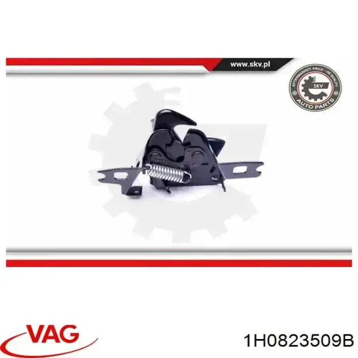 Cerradura de capó VAG 1H0823509B precio, desde 20,11 EUR