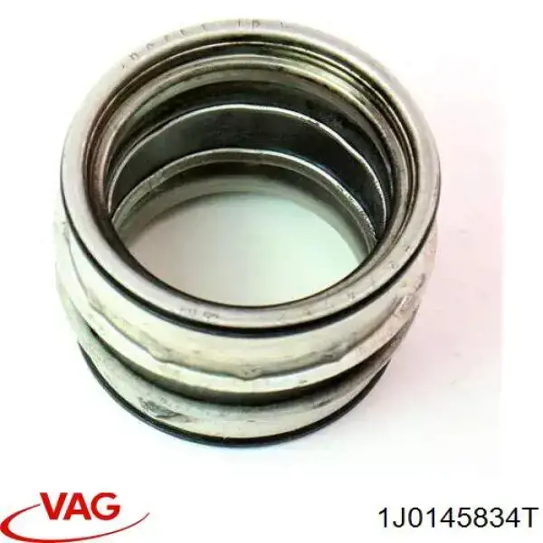 10976 Fare Manguera del intercooler